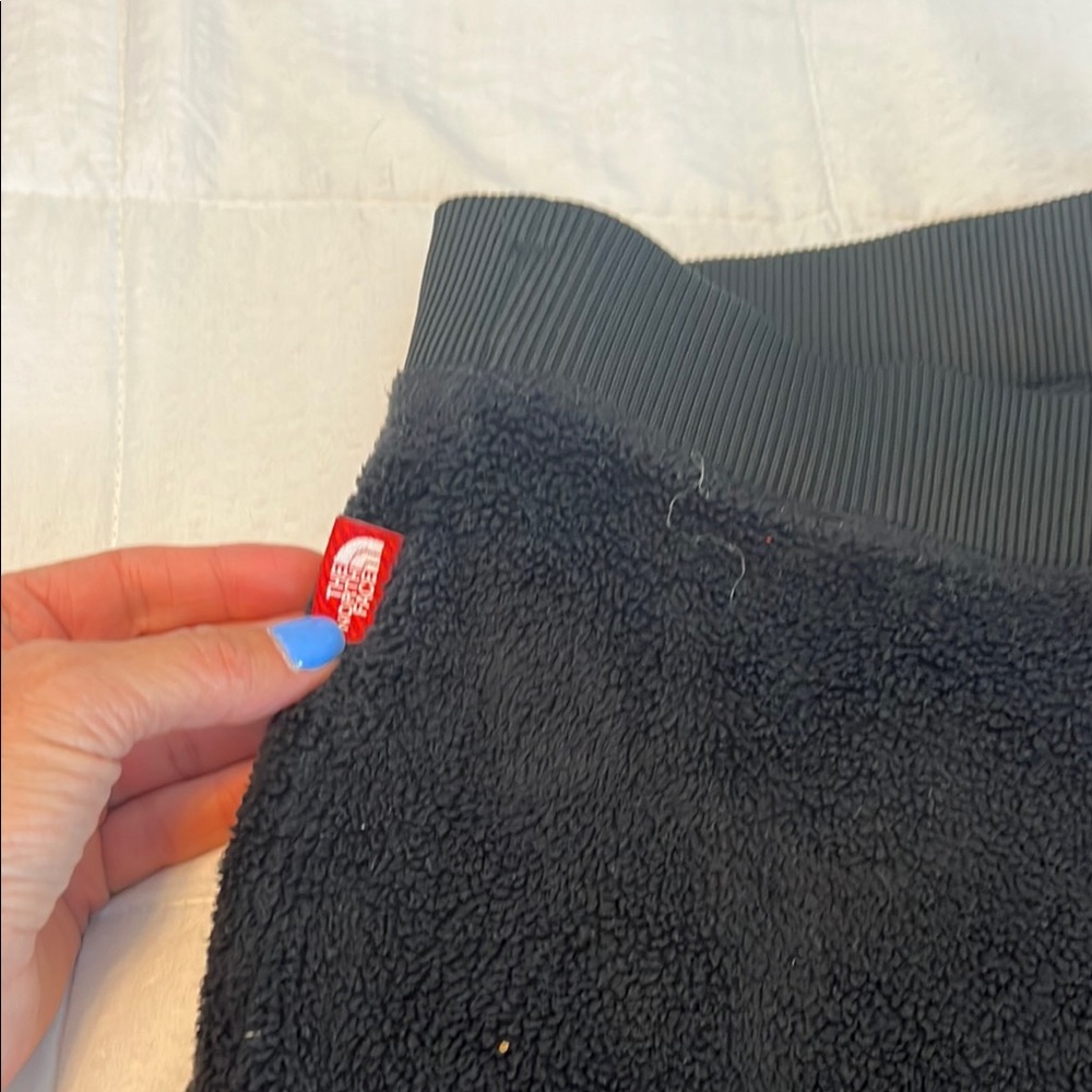 Northface Charcoal Sherpa pants